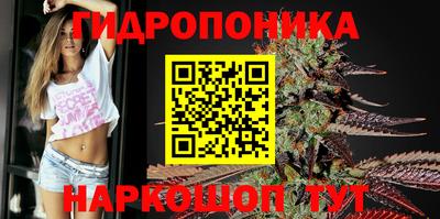 спайс Будённовск
