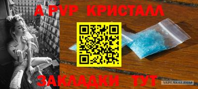 спайс Будённовск