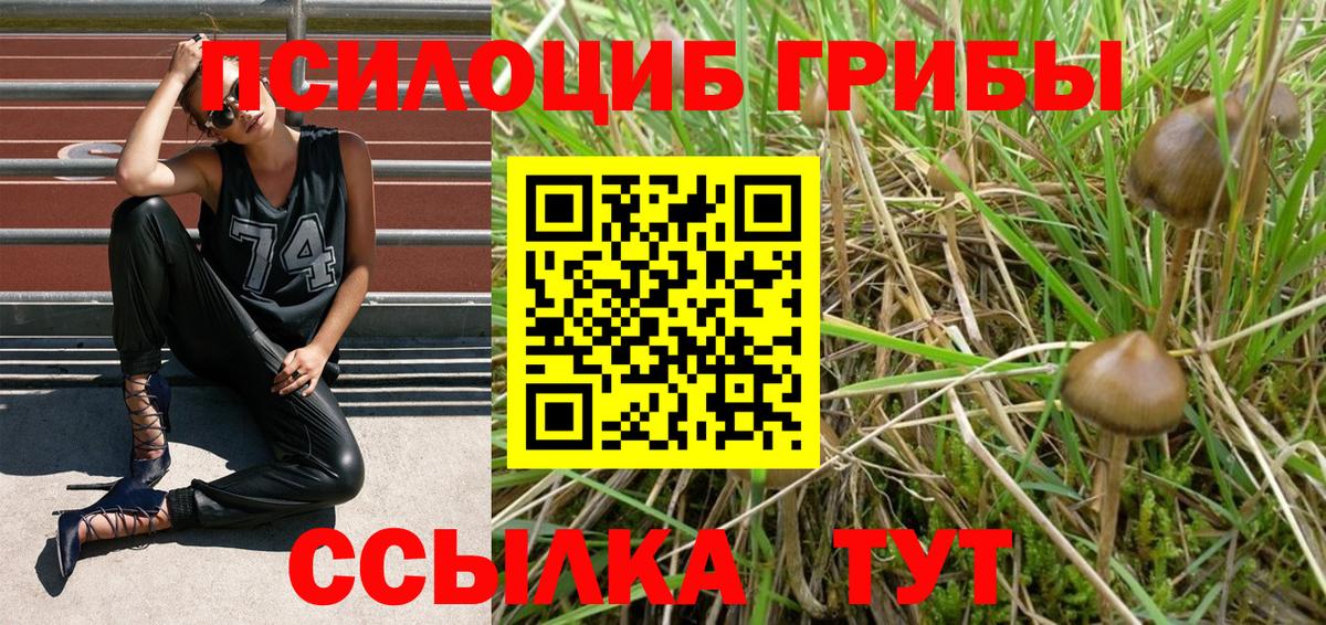 Лобня  Псилоцибиновые грибы Cubensis  Галлюциногенные грибы MAGIC MUSHROOMS  Вход с VPN 