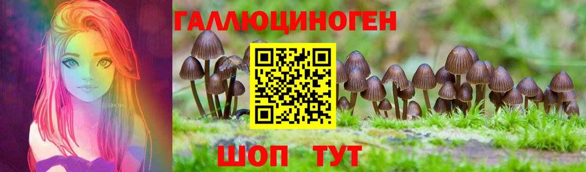 Галлюциногенные грибы Psilocybe Лобня